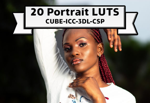 Download Amazing Portrait LUTs Photo Filter - Luts Collection