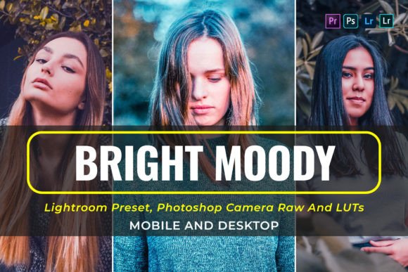 Download 10 Bright Moody Presets and Luts - Luts Collection