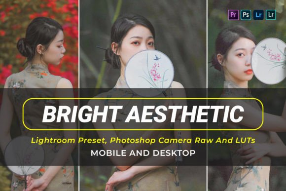 Download 10 Bright Aesthetic V2 Presets and Luts - Luts Collection
